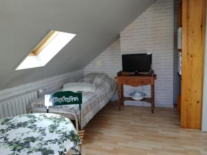 a attic room with a bed and a television at La tourterelle in La Rivière Saint Sauveur