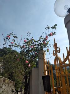 a tree with pink flowers next to a fence at CasarinoLaurino Valle Del Golfo Healthy Air Above The Sea in Uscio