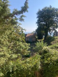 Příroda nedaleko bed and breakfast