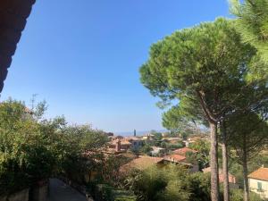 a view of a town with trees and houses at La Biocca in Poggio Murella