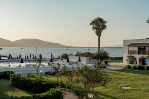 a view of a resort with a palm tree and the water at Hotel Portoconte in Porto Conte