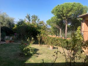 ogród z drzewami i roślinami na dziedzińcu w obiekcie La Biocca w mieście Poggio Murella