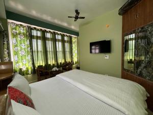 a bedroom with a bed and a tv and windows at Zu-Zu Hostels in Shimla