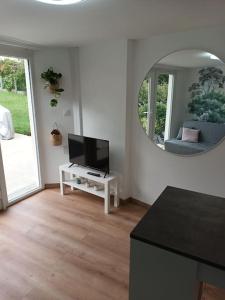 ein Wohnzimmer mit einem TV und einem Spiegel in der Unterkunft Charmant studio sur Orsay in Orsay