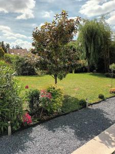 einen Garten mit einem Apfelbaum und einigen Büschen in der Unterkunft Charmant studio sur Orsay in Orsay