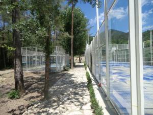 Tenis a/nebo squash v ubytování Camping L'Espelt nebo okolí