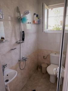 a bathroom with a shower and a toilet and a sink at Tainov House in Samokov