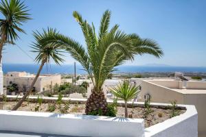 a group of palm trees in front of a building at Aigli Villa in Fira