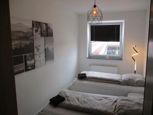 Cette chambre comprend 2 lits et une fenêtre. dans l'établissement PARSBERGER FERIENWOHNUNG, à Parsberg