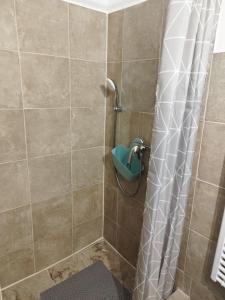 y baño con ducha y grifo. en Holling apartman, en Fertőboz