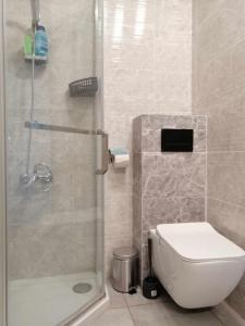 a bathroom with a shower with a toilet and a sink at Centrum Apartament z parkingiem in Szczecin