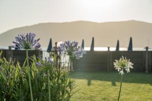 a garden with purple flowers and a fence at Hotel Portoconte in Porto Conte