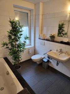 La salle de bains est pourvue de toilettes, d'un lavabo et d'une plante. dans l'établissement Liro Mönchengladbach, à Mönchengladbach