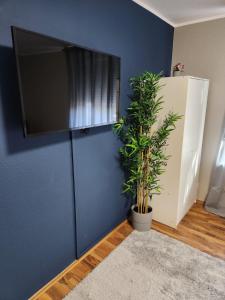 un mur bleu avec une télévision à écran plat et une plante dans l'établissement Liro Mönchengladbach, à Mönchengladbach