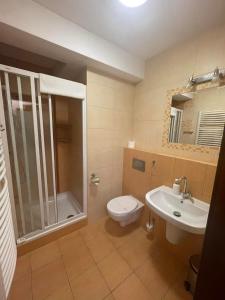een badkamer met een toilet, een douche en een wastafel bij Pensjonat Szach in Krynica Zdrój