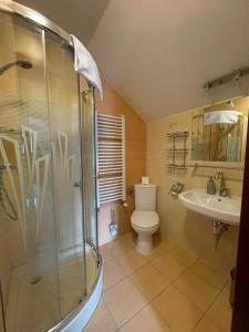 een badkamer met een douche, een toilet en een wastafel bij Pensjonat Szach in Krynica Zdrój
