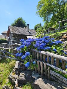 un ramo de flores azules en una valla de madera en Casa Poiana en Ronco sopra Ascona