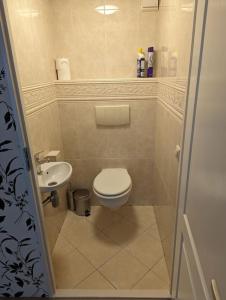 een kleine badkamer met een toilet en een wastafel bij Chalet Anloo, van harte welkom. in Anloo