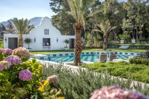 a villa with a swimming pool and palm trees at Monument House in Franschhoek