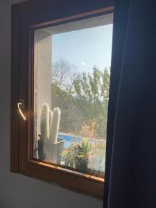 uma janela com vista para um cacto em Monolocali del Montecontessa by SMART-HOME 