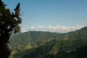 a view of a valley with mountains in the background at SaffronStays The Clairmont Cottage,Mukteshwar in Mukteshwar +64 photos