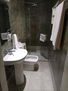 uma casa de banho com um lavatório, um WC e um chuveiro em Brownies Deluxe em Nakuru