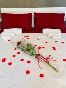 een bed met rode harten en rozen erop bij Room24 in Genzano di Roma