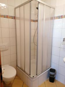 een douchecabine in een badkamer met een toilet bij Ferienwohnungen Ryck Blick in Greifswald