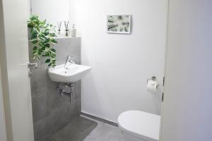 a bathroom with a toilet and a sink at Design City Apartment, Modern, ebenerdig, Top Lage in Weinheim +28 photos