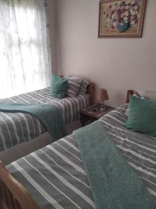 a bedroom with two beds with green pillows and a window at Mila's place 35 Wellington Street in Cannonvale