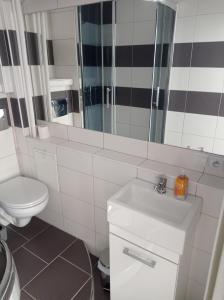 een badkamer met een wastafel, een toilet en een spiegel bij Apartament No 40 in Łódź