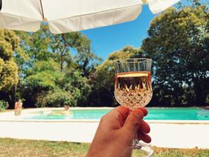 a person holding a glass of wine in front of a pool at Petit château Le Piot in Fleurance