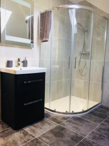 a bathroom with a shower and a sink at Mourne Views 2 Bed Apartment in Kilkeel