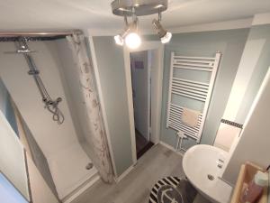 a bathroom with a shower and a toilet and a sink at Ferienhaus Hygge in Flensburg +6 photos