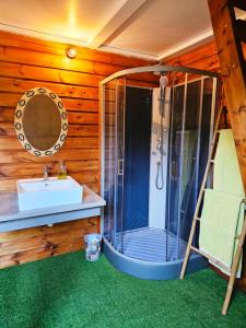 a bathroom with a shower with a sink and a mirror at Domaine de l'Anse in Petite Île