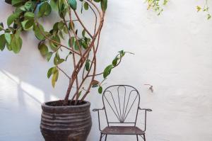 Fotografie z fotogalerie ubytování Hotel Hanoi v destinaci Begur