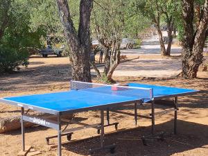 - une table de ping-pong bleue devant un arbre dans l'établissement Chalets du golfe de st Tropez l olivier, à La Garde-Freinet
