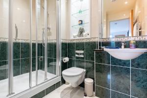 a bathroom with a toilet and a sink and a shower at Parkview, St Andrews in St. Andrews