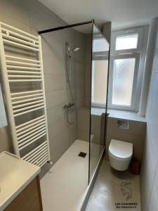 La salle de bains est pourvue d'une douche et de toilettes. dans l'établissement Les chambres du Graoully - Le 109 - Metz Gare - Parking inclus - NO S-model, à Metz