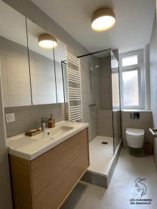 La salle de bains est pourvue d'un lavabo, d'une douche et de toilettes. dans l'établissement Les chambres du Graoully - Le 109 - Metz Gare - Parking inclus - NO S-model, à Metz