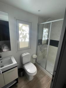 een badkamer met een toilet, een douche en een wastafel bij Mobilna kućica u Campu Rehut, plaža Slanica Murter in Murter