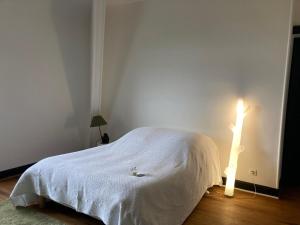 Letto o letti in una camera di Maison MOKASSI