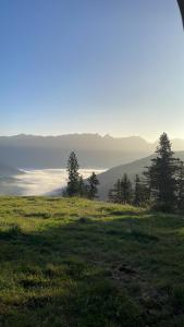 a field of grass with trees in the background at Appartement Bergsicht in Leogang