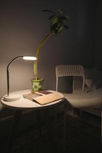 una mesa con una lámpara, un libro y una planta en Almaty Backpackers, en Almaty