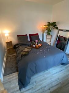 a bedroom with a blue bed with a tray on it at Maisonnette rurale de charme in Plessis-Saint-Benoist