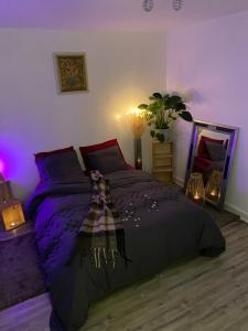 a bedroom with a purple bed and a mirror at Maisonnette rurale de charme in Plessis-Saint-Benoist