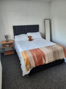 un osito de peluche tirado en una cama en un dormitorio en Taunton Central en Taunton