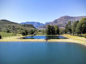 a lake with a picnic table in the middle of it at La Ferme Guest Farm in Franschhoek