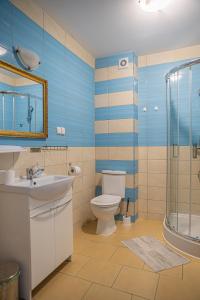 a bathroom with a toilet and a sink and a shower at Motel "Płomyk" in Kunowice