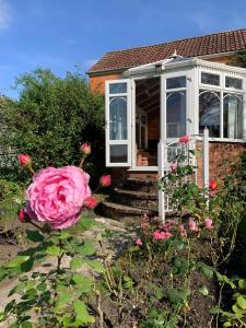 una rosa rosa frente a una casa en Rose Cottage Glastonbury, en Glastonbury